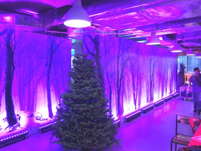 Lane Crawford Christmas Decoration